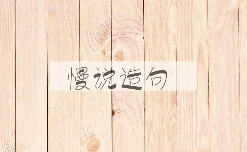 用慢说造句