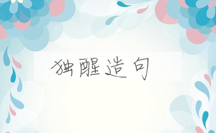 用独醒造句