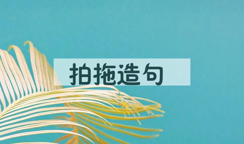 用拍拖造句