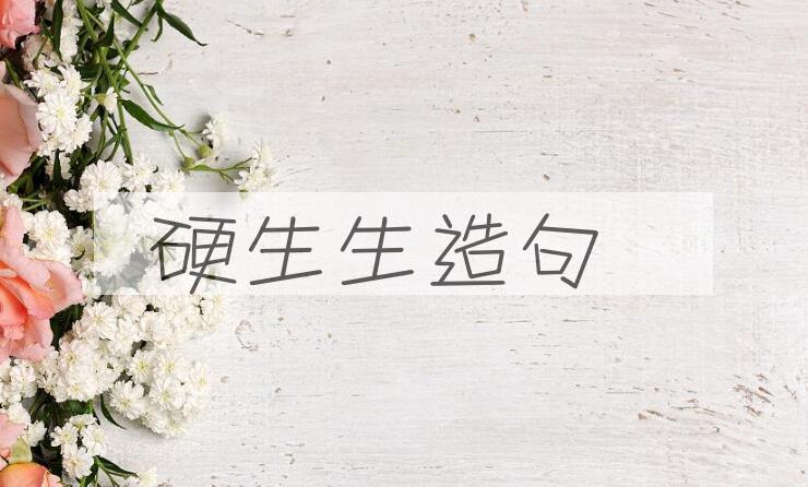 用硬生生造句