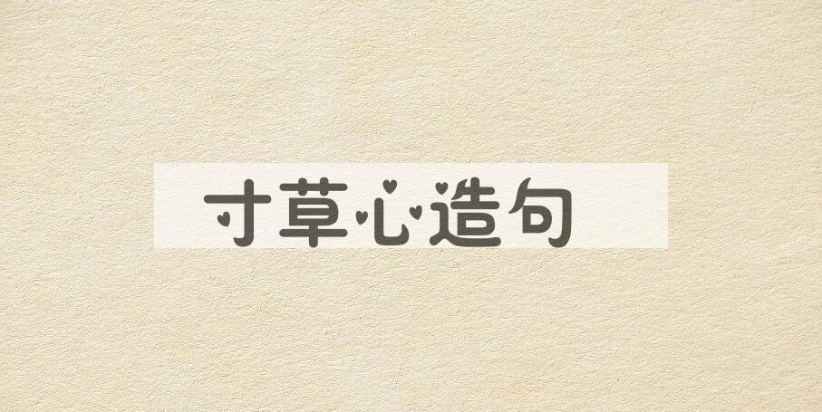 用寸草心造句