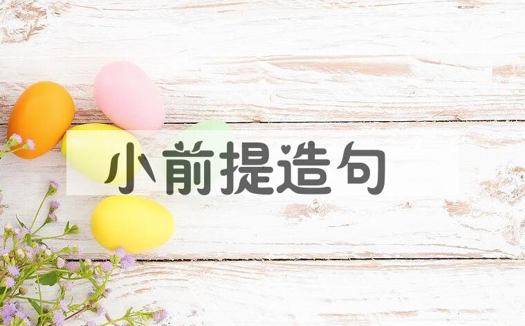 用小前提造句