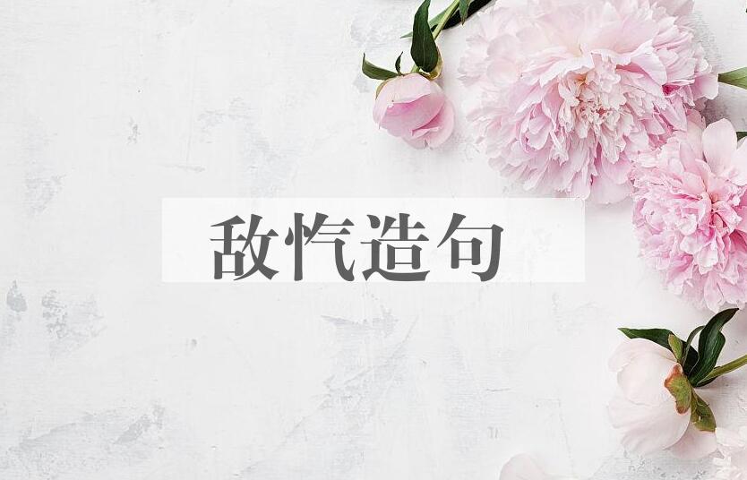 用敌忾造句
