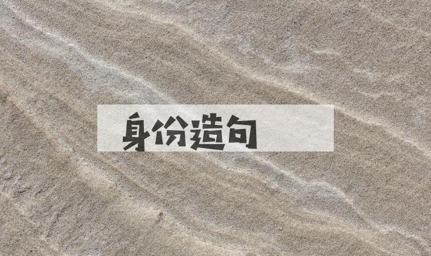 用身份造句