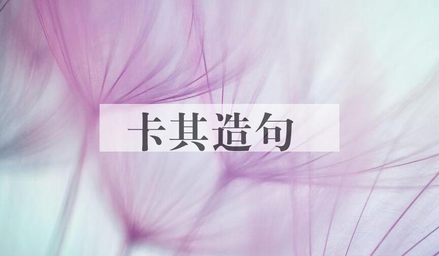 用卡其造句
