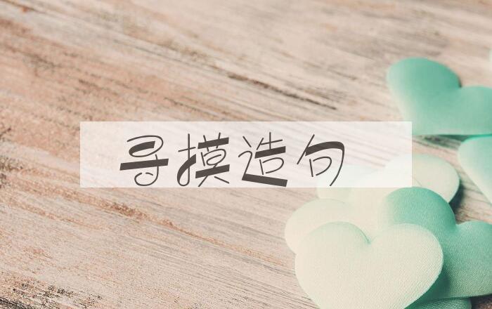 用寻摸造句