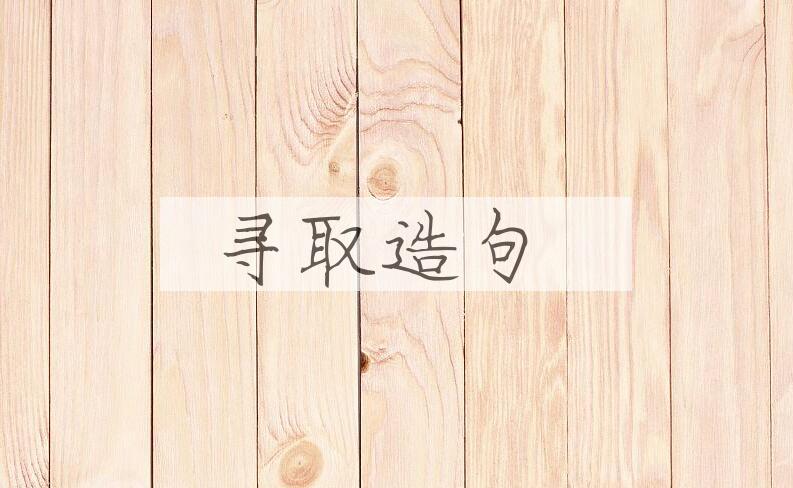 用寻取造句