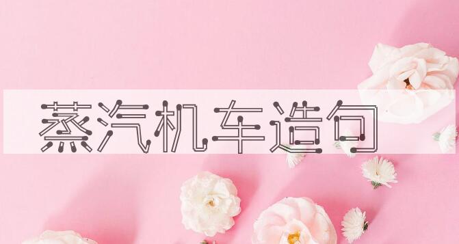 用蒸汽机车造句