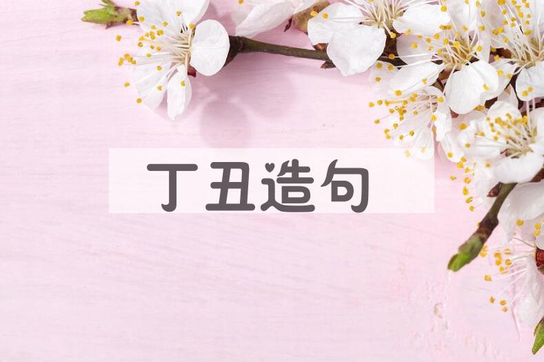 用丁丑造句