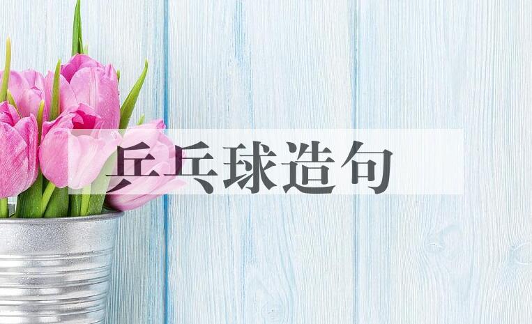 用乒乓球造句