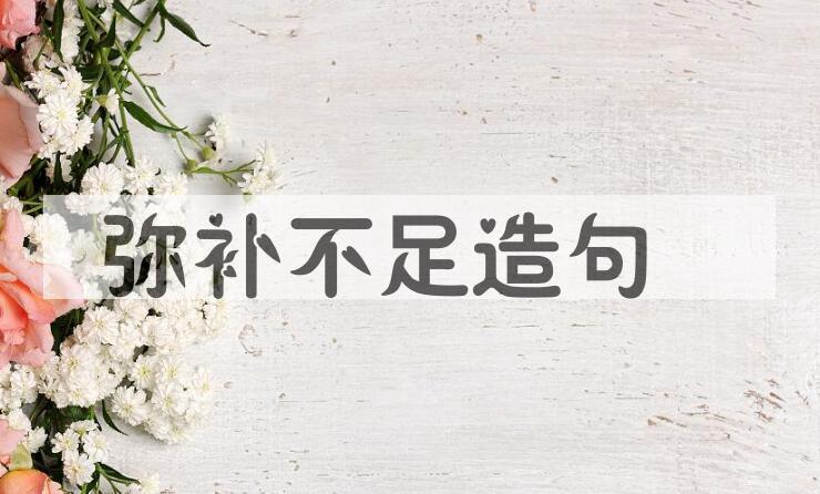 用弥补不足造句