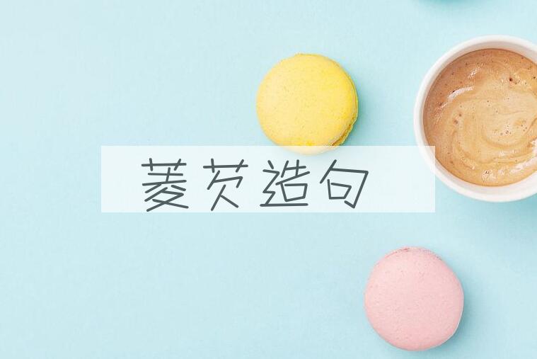 用菱芡造句