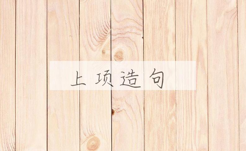 用上项造句