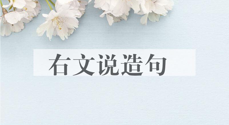 用右文说造句