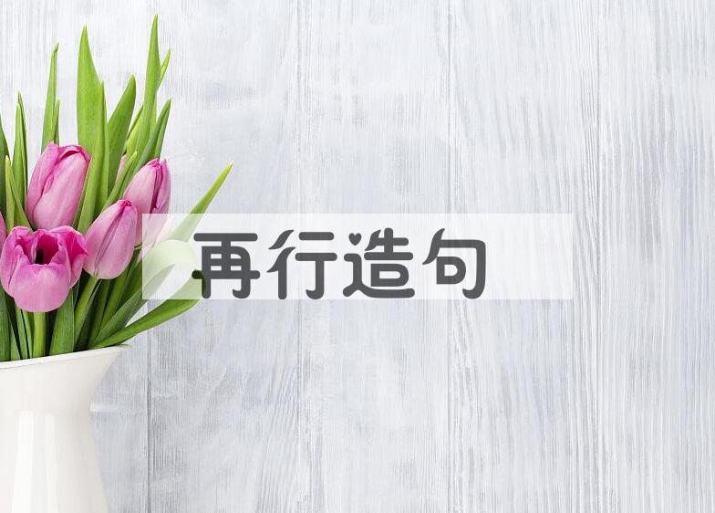 用再行造句