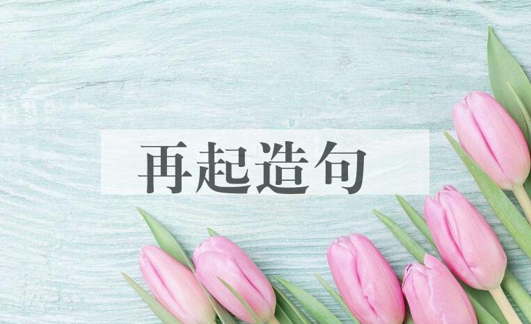 用再起造句