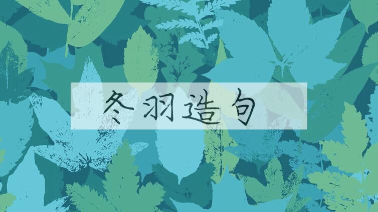 用冬羽造句