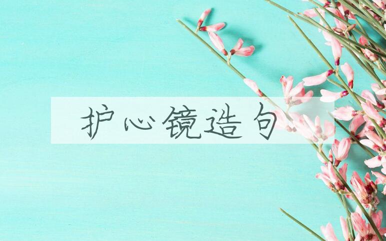 用护心镜造句