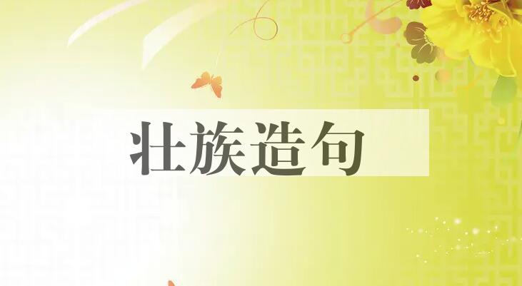 用壮族造句
