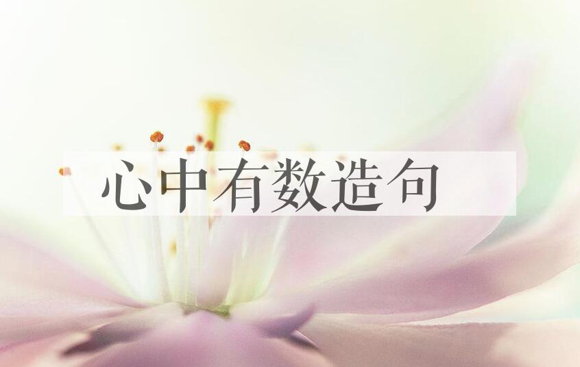 用心中有数造句