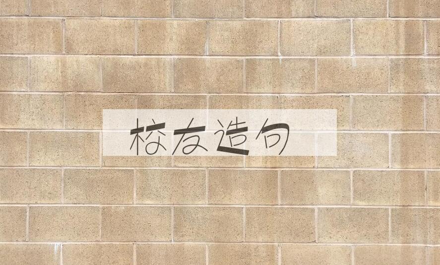 用校友造句