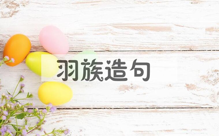 用羽族造句