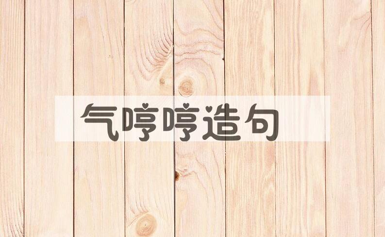 用气哼哼造句