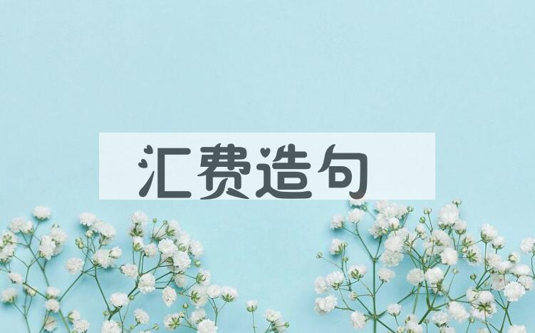 用汇费造句