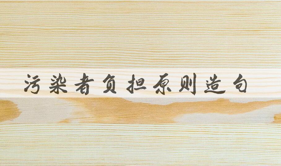 用污染者负担原则造句