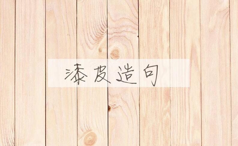 用漆皮造句