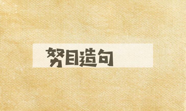 用努目造句