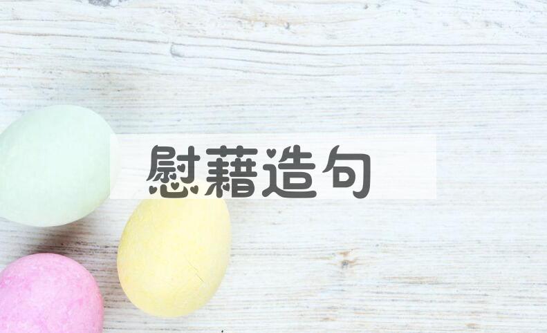 用慰藉造句