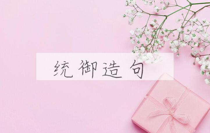 用统御造句