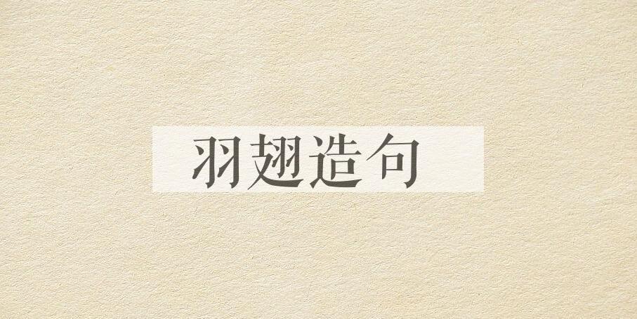 用羽翅造句