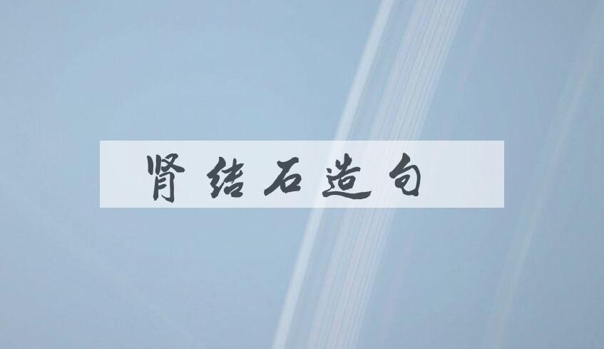 用肾结石造句