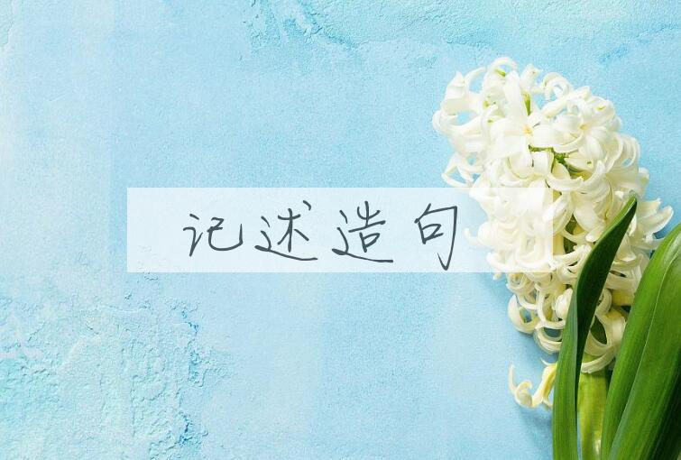 用记述造句