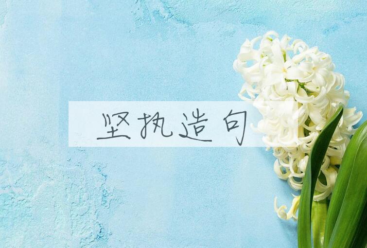 用坚执造句