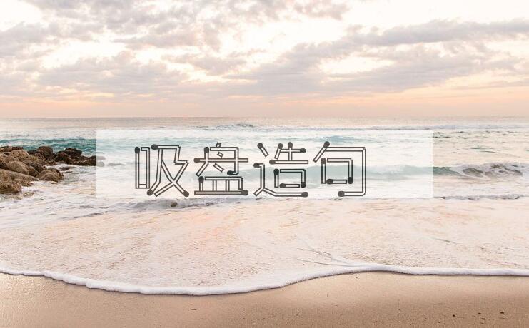 用吸盘造句