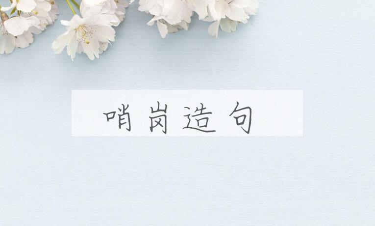 用哨岗造句