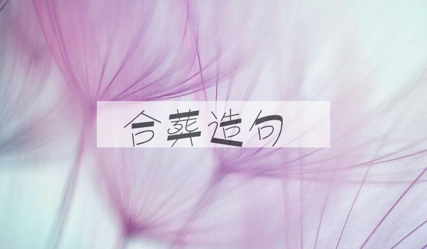 用合葬造句