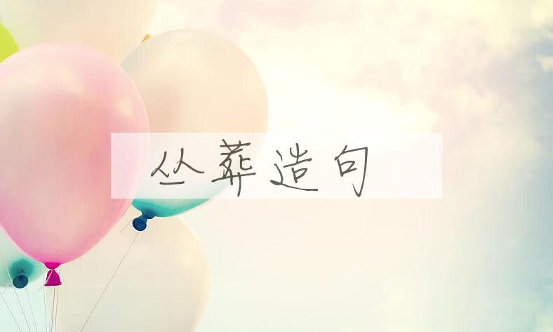 用丛葬造句