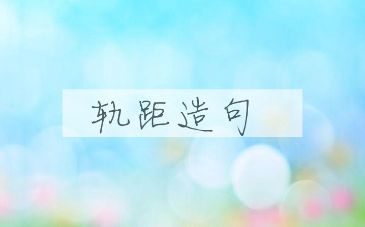 用轨距造句