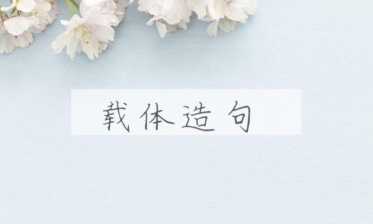 用载体造句