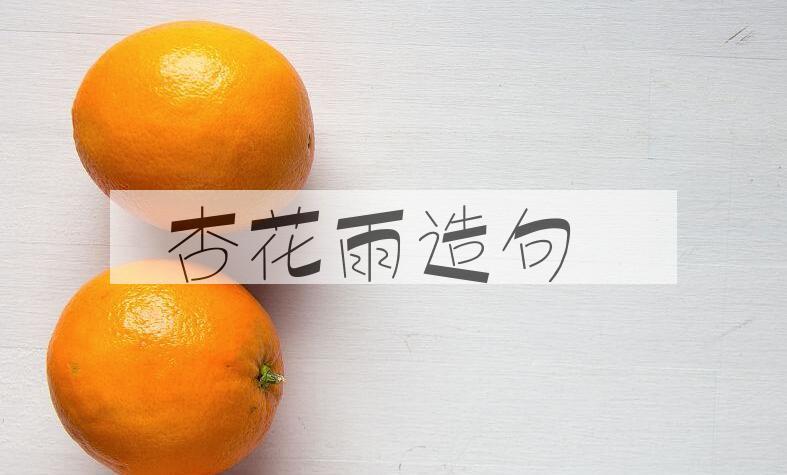 用杏花雨造句