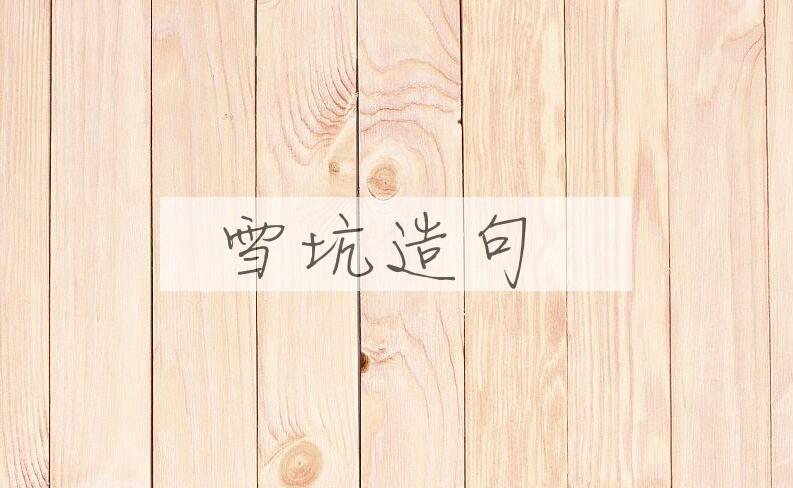 用雪坑造句