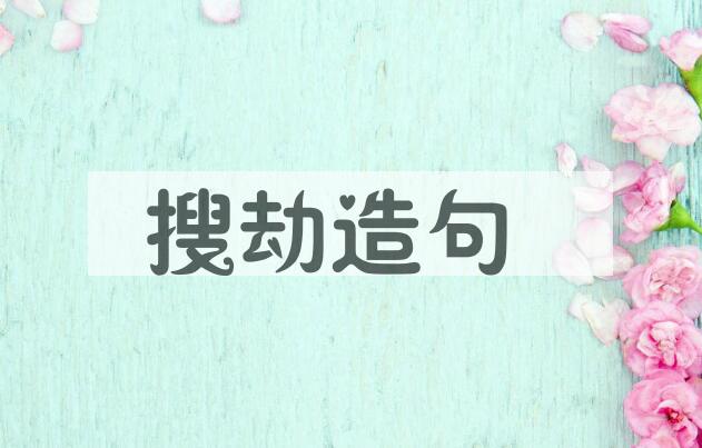 用搜劫造句