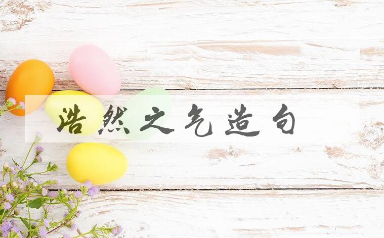 用浩然之气造句
