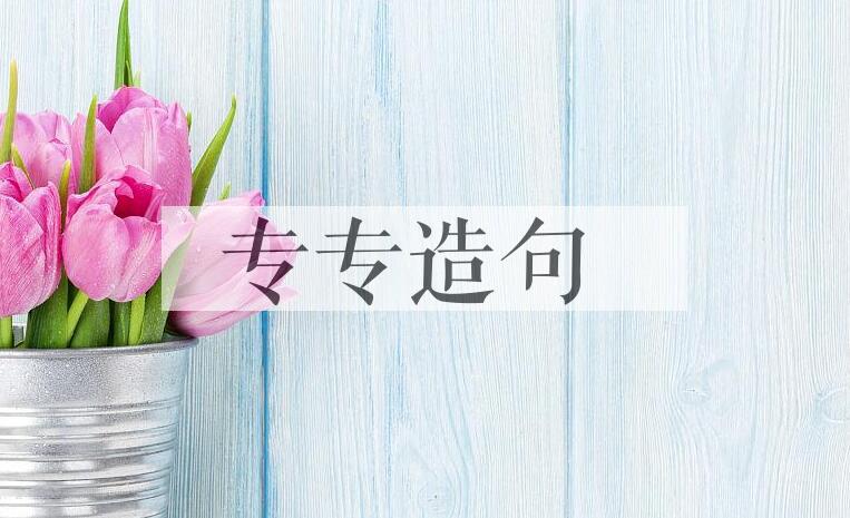 用专专造句