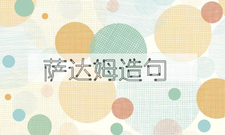 用萨达姆造句