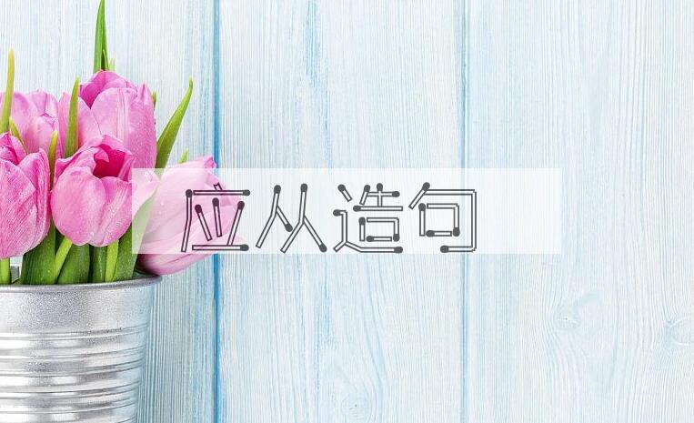 用应从造句